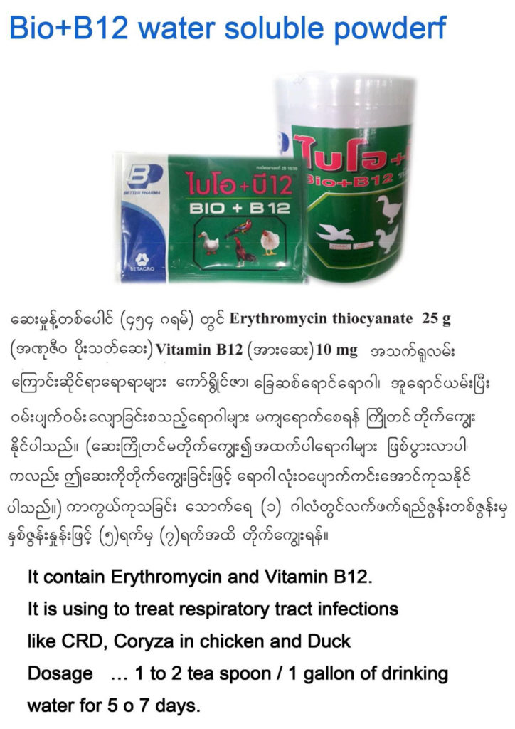 Better Pharma | Shwe Htut Khaung