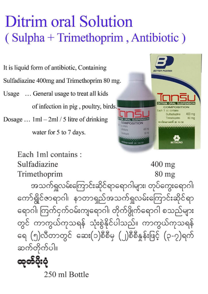 Better Pharma | Shwe Htut Khaung